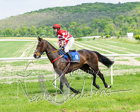 Race 2 - Restricted  (119 of 308)