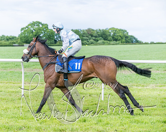Race 5 - Restricted Race (144 of 434)
