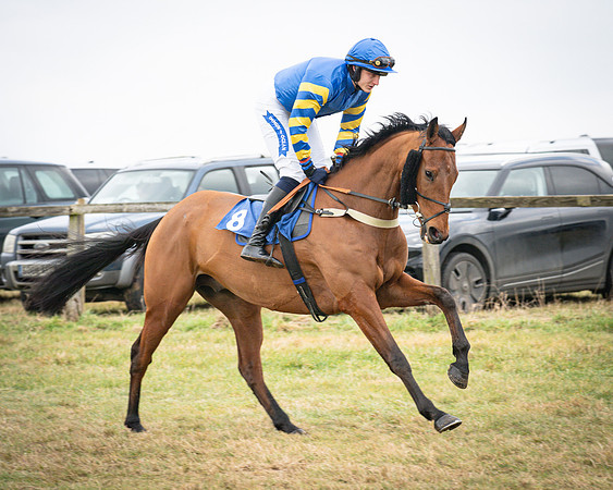 Race 2 - The Maiden (10 of 156)