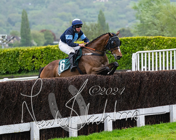 Race 5 - Mares Open  (70 of 129)