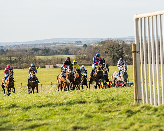 Race 5 - Restricted (16 of 146)