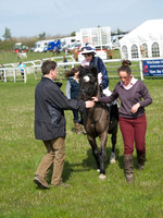 Pony Race 1 -  1
