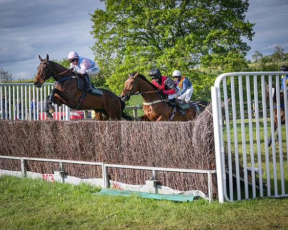 Race 7 - Walnut Hill PPORA club members maiden (32 of 104)