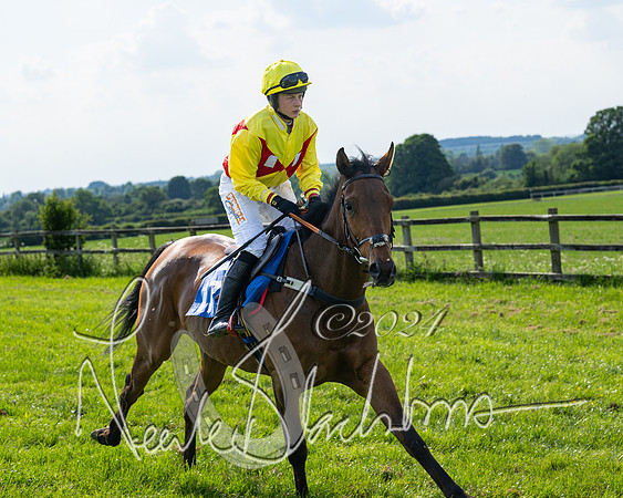 Race 5  - Maiden race 2m5F Div-1 (74 of 197)