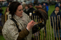 3 - CA Birds of Prey 8