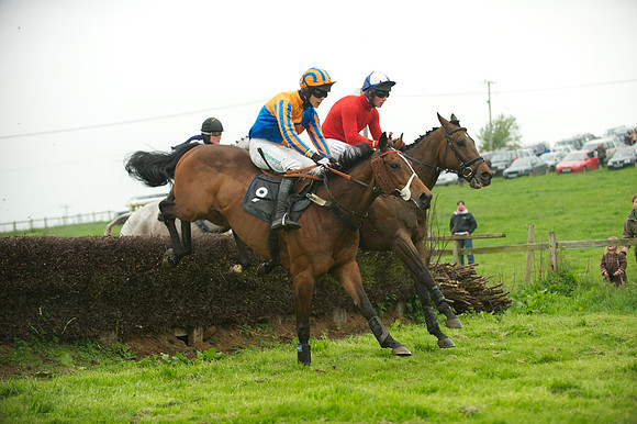 Race 2 - Novices 44