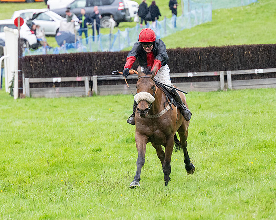 Race 8 - Bumper Div 2 (66 of 84)