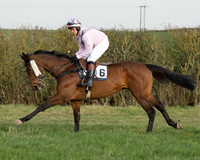 Race 6 - Open Maiden Race (19 of 99).jpg