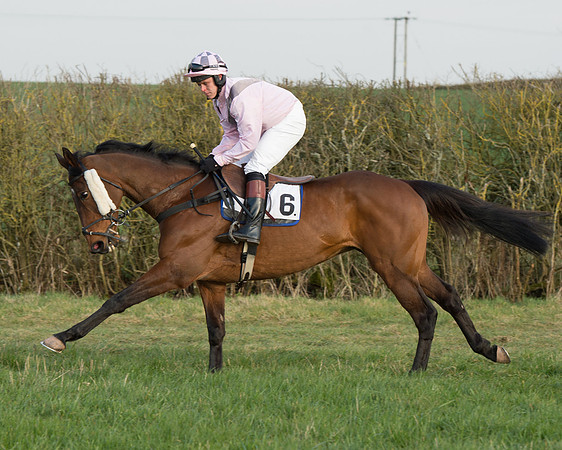 Race 6 - Open Maiden Race (19 of 99).jpg