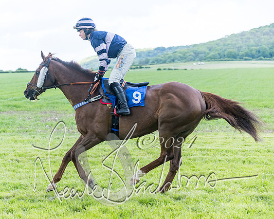 Race 3 - Conditions (119 of 367)