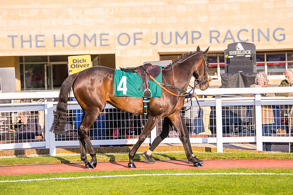 Race 5 - ITM Mares'  (5 of 181)