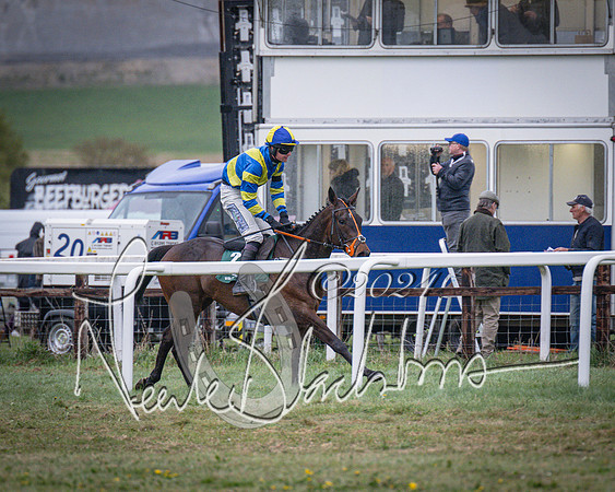 Race 7 - The Jockey Club maiden race for Mares and Fillies only (87 of 96)