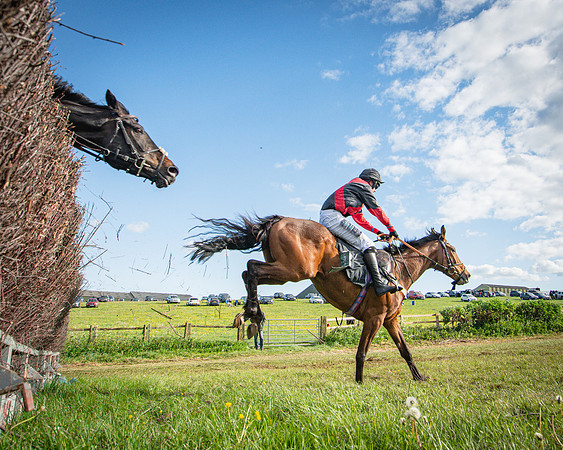 Race 7 - Walnut Hill PPORA club members maiden (62 of 104)