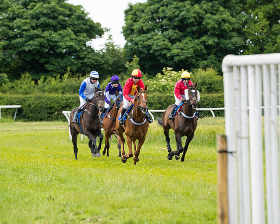 Race 5 - Restricted  (39 of 136)