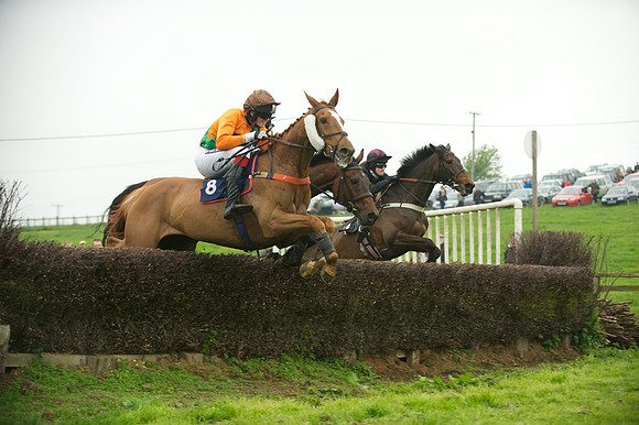 Race 2 - Novices 29