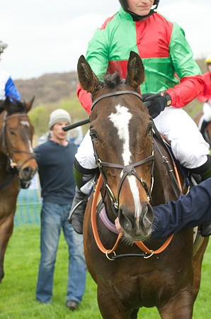 Kimblewick Hunts Point to Point at Kingston Blount Racecourse on Saturday 12th April 2014 Race 1 Confined Hunts Race.