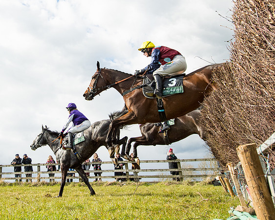 Race 5 - Restricted  (26 of 118)