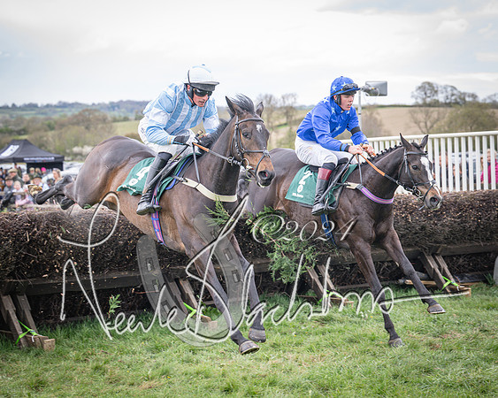 Race 2 - Tattersalls Cheltenham 4 year old Maiden (42 of 85)