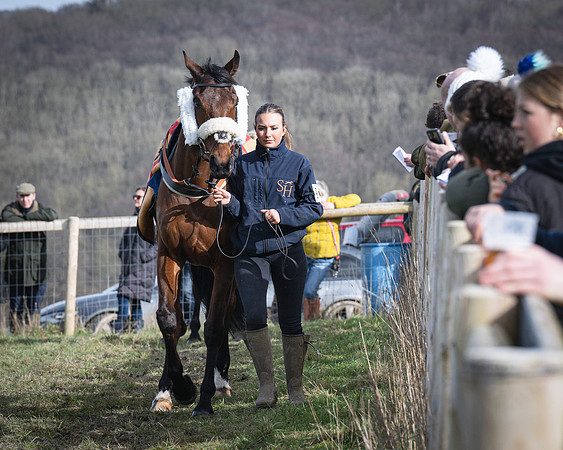 Race 3 - The Maiden Conditions (16 of 214)