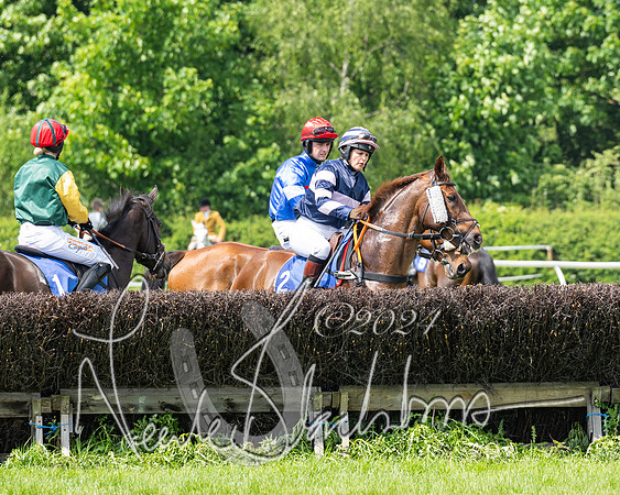 RAce 1 - Conditionsn [Level 2] (89 of 219)