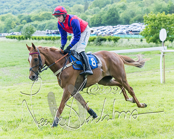 Race 3 - Conditions (98 of 367)