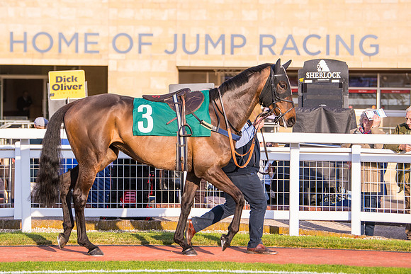 Race 5 - ITM Mares'  (13 of 181)