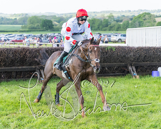 Race 7 - Veteran Horse (57 of 246)