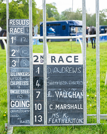 Race 2 - Veteran Horse (1 of 80)