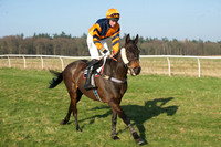 Races 5 - Restricted 12