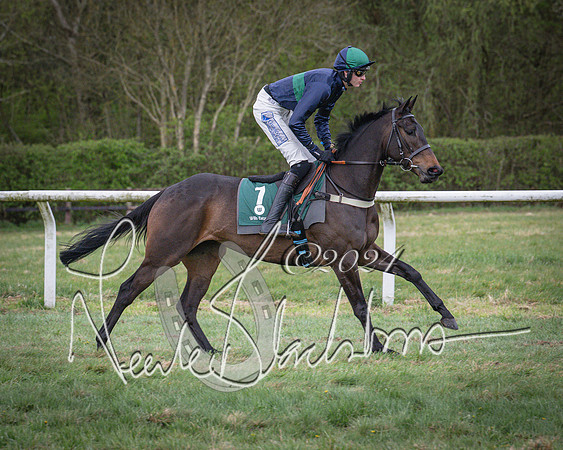 Race 7 - The Jockey Club maiden race for Mares and Fillies only (6 of 96)