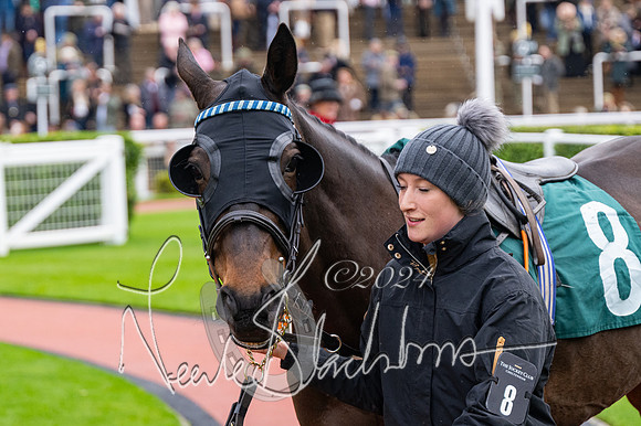 Race 3 - Junior jumpers (6 of 180)