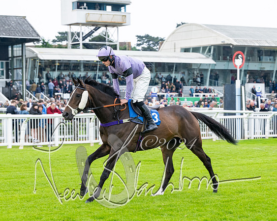 Race 3 - John Corbet Cup  (20 of 108)