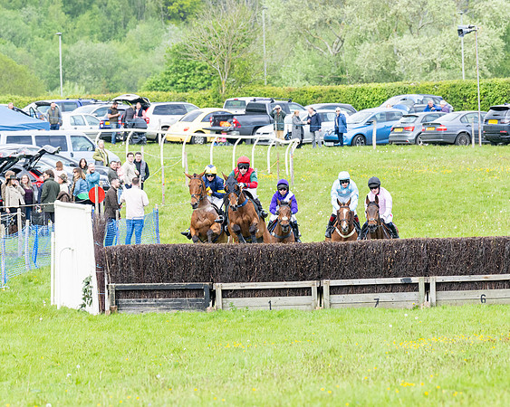 Race 2 - Veteran Horse (2 of 80)