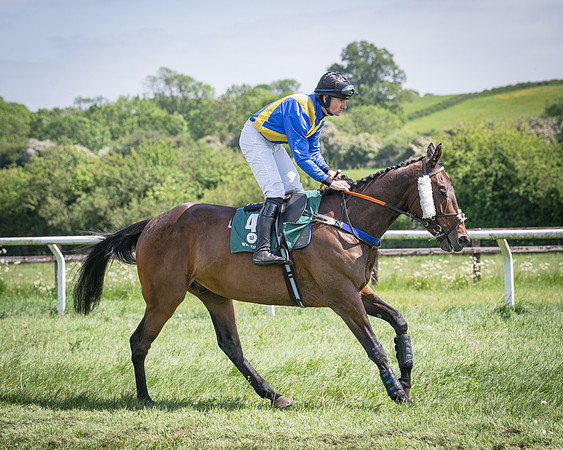 Race 2 - The Maiden (32 of 126)