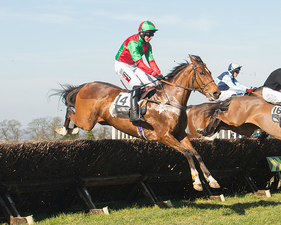 Race 1 Div 1 - 2M4F Maiden (59 of 117).jpg