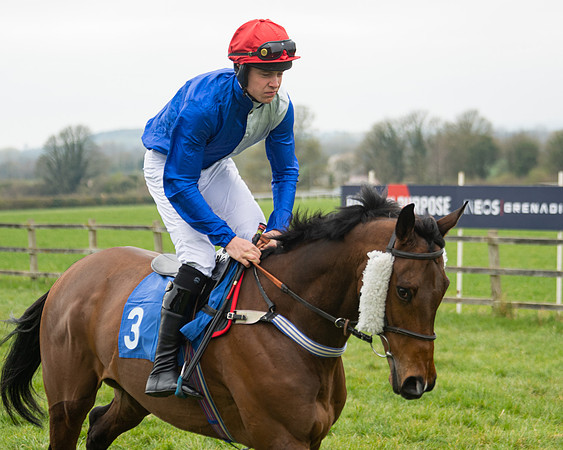 Race 3 - Open maiden  (9 of 273)