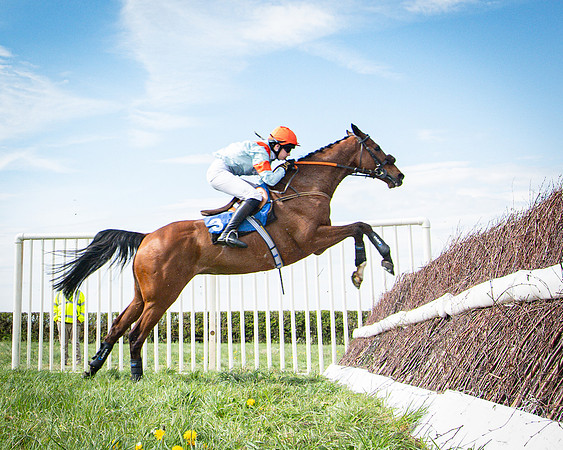 Race 3 - The Richardsons chartered Accountants Conditions Race [Level Three] for Novice Riders (101 of 117)