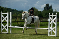 SOHS PC Summer Show at BCA 17th June 2012