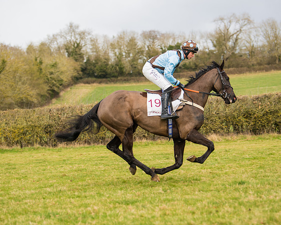 Race 2 - Open Maiden (20 of 128)