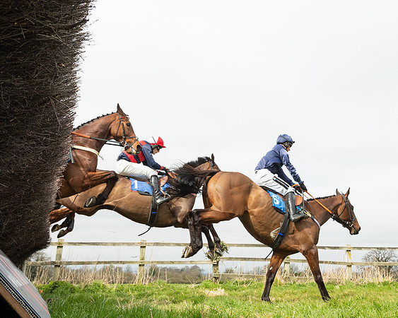Race 2 - Veteran Horse (18 of 153)
