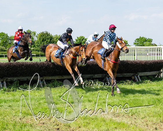 Race 3 - Ladies Open  (77 of 133)