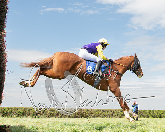 Race 2 - The Elliott of London maiden race (96 of 137)