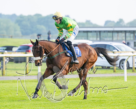 Race 5 - Peter Wright Handicap (9 of 117)