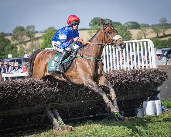 Race 5 - Restricted (82 of 116)