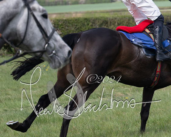 Race 2 - The Elliott of London maiden race (120 of 137)