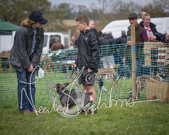 Bicester - Dog Show (99 of 106)