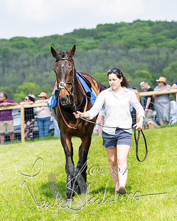 Race 3 - Ladies Open  (15 of 133)