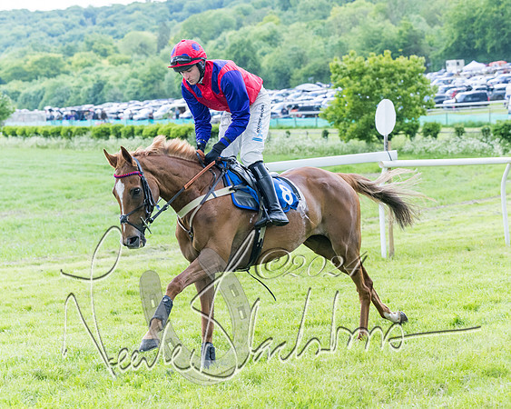 Race 3 - Conditions (97 of 367)