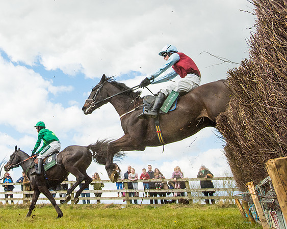 Race 2 - Young Horse Maiden (45 of 104)
