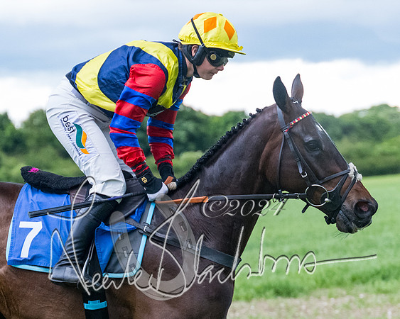 Race 3 - Conditions (183 of 367)